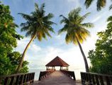 Robinson Club Maldives в Атолл Гаафу Мальдивы ✅. Забронировать номер онлайн по выгодной цене в Robinson Club Maldives. Трансфер из аэропорта.