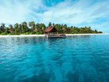 Robinson Club Maldives в Атолл Гаафу Мальдивы ✅. Забронировать номер онлайн по выгодной цене в Robinson Club Maldives. Трансфер из аэропорта.