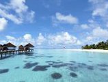 Robinson Club Maldives в Атолл Гаафу Мальдивы ✅. Забронировать номер онлайн по выгодной цене в Robinson Club Maldives. Трансфер из аэропорта.