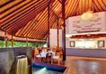 Robinson Club Maldives в Атолл Гаафу Мальдивы ✅. Забронировать номер онлайн по выгодной цене в Robinson Club Maldives. Трансфер из аэропорта.