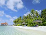 Robinson Club Maldives в Атолл Гаафу Мальдивы ✅. Забронировать номер онлайн по выгодной цене в Robinson Club Maldives. Трансфер из аэропорта.