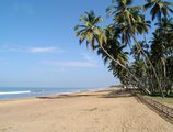 Royal Palms Beach в Калутара Шри Ланка ✅. Забронировать номер онлайн по выгодной цене в Royal Palms Beach. Трансфер из аэропорта.