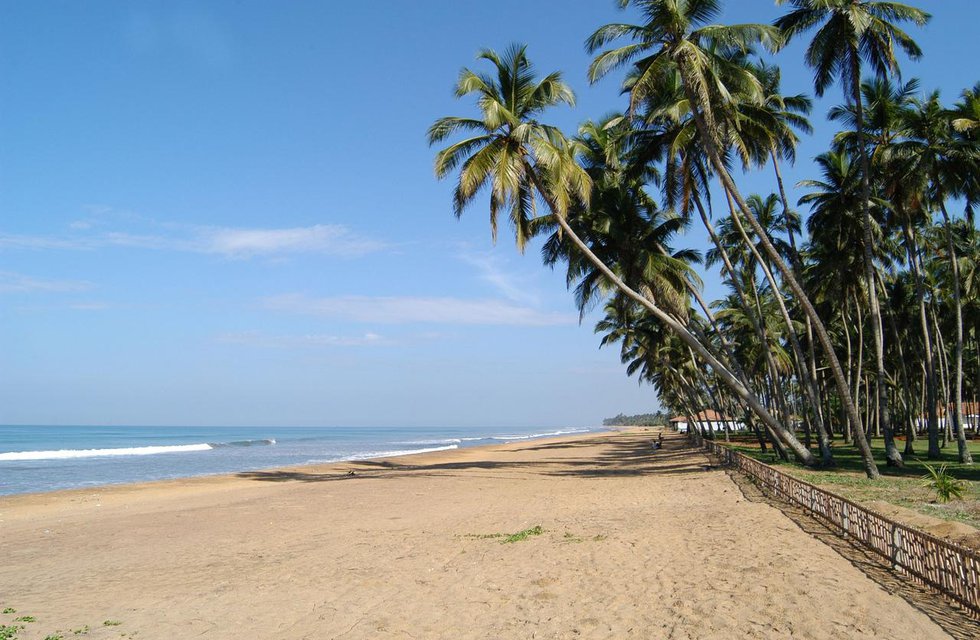 Royal Palms Beach в Калутара Шри-Ланка ✅. Забронировать номер онлайн по выгодной цене в Royal Palms Beach. Трансфер из аэропорта.