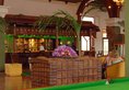 Royal Palms Beach в Калутара Шри-Ланка ✅. Забронировать номер онлайн по выгодной цене в Royal Palms Beach. Трансфер из аэропорта.