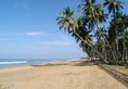 Royal Palms Beach Hotel в Калутара Шри-Ланка ✅. Забронировать номер онлайн по выгодной цене в Royal Palms Beach Hotel. Трансфер из аэропорта.