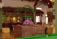 Royal Palms Beach Hotel в Калутара Шри-Ланка ✅. Забронировать номер онлайн по выгодной цене в Royal Palms Beach Hotel. Трансфер из аэропорта.