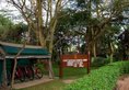 Lake Manyara Serena Safari Lodge в Маньяра Кения. Забронировать номер онлайн по выгодной цене в Lake Manyara Serena Safari Lodge. Трансфер из аэропорта.