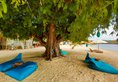 Sudamala Resort Seraya в Комодо Индонезия ✅. Забронировать номер онлайн по выгодной цене в Sudamala Resort Seraya. Трансфер из аэропорта.