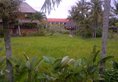 Agung Raka Resort and Villas в регион Убуд Индонезия ✅. Забронировать номер онлайн по выгодной цене в Agung Raka Resort and Villas. Трансфер из аэропорта.
