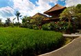 Agung Raka Resort and Villas в регион Убуд Индонезия ✅. Забронировать номер онлайн по выгодной цене в Agung Raka Resort and Villas. Трансфер из аэропорта.