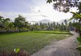 Agung Raka Resort and Villas в регион Убуд Индонезия ✅. Забронировать номер онлайн по выгодной цене в Agung Raka Resort and Villas. Трансфер из аэропорта.
