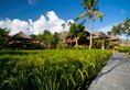 Agung Raka Resort and Villas в регион Убуд Индонезия ✅. Забронировать номер онлайн по выгодной цене в Agung Raka Resort and Villas. Трансфер из аэропорта.