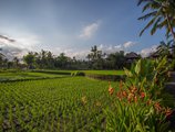 Agung Raka Resort and Villas в регион Убуд Индонезия ✅. Забронировать номер онлайн по выгодной цене в Agung Raka Resort and Villas. Трансфер из аэропорта.