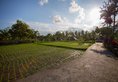 Agung Raka Resort and Villas в регион Убуд Индонезия ✅. Забронировать номер онлайн по выгодной цене в Agung Raka Resort and Villas. Трансфер из аэропорта.
