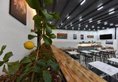 Almina Hotel в Стамбул Турция ✅. Забронировать номер онлайн по выгодной цене в Almina Hotel. Трансфер из аэропорта.