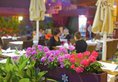 Alzer Hotel в Стамбул Турция ✅. Забронировать номер онлайн по выгодной цене в Alzer Hotel. Трансфер из аэропорта.