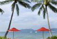 Amari Phuket в Пхукет Таиланд ✅. Забронировать номер онлайн по выгодной цене в Amari Phuket. Трансфер из аэропорта.