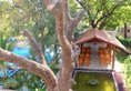 Anantamaa Hotel в Тринкомале Шри-Ланка ✅. Забронировать номер онлайн по выгодной цене в Anantamaa Hotel. Трансфер из аэропорта.
