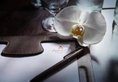 Anantara Mai Khao Phuket Villas в Пхукет Таиланд ✅. Забронировать номер онлайн по выгодной цене в Anantara Mai Khao Phuket Villas. Трансфер из аэропорта.