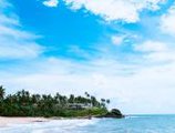 Anantara Peace Haven Tangalle Resort в Тангалле Шри Ланка ✅. Забронировать номер онлайн по выгодной цене в Anantara Peace Haven Tangalle Resort. Трансфер из аэропорта.