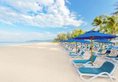 Angsana Laguna Phuket - SHA Plus в Пхукет Таиланд ✅. Забронировать номер онлайн по выгодной цене в Angsana Laguna Phuket - SHA Plus. Трансфер из аэропорта.