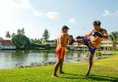 Angsana Laguna Phuket - SHA Plus в Пхукет Таиланд ✅. Забронировать номер онлайн по выгодной цене в Angsana Laguna Phuket - SHA Plus. Трансфер из аэропорта.