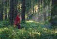 The Apurva Kempinski в Бали Индонезия ✅. Забронировать номер онлайн по выгодной цене в The Apurva Kempinski. Трансфер из аэропорта.