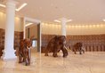 Araliya Beach Resort & Spa Unawatuna в Унаватуна Шри-Ланка ✅. Забронировать номер онлайн по выгодной цене в Araliya Beach Resort & Spa Unawatuna. Трансфер из аэропорта.