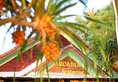 Arcadia Phu Quoc в Фукуок Вьетнам ✅. Забронировать номер онлайн по выгодной цене в Arcadia Phu Quoc. Трансфер из аэропорта.