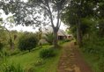 Aregash Lodge в Йирегалем Эфиопия. Забронировать номер онлайн по выгодной цене в Aregash Lodge. Трансфер из аэропорта.
