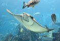 Atlantis Sanya в Хайнань Китай ✅. Забронировать номер онлайн по выгодной цене в Atlantis Sanya. Трансфер из аэропорта.