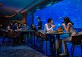 Atlantis Sanya в Хайнань Китай ✅. Забронировать номер онлайн по выгодной цене в Atlantis Sanya. Трансфер из аэропорта.