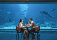 Atlantis Sanya в Хайнань Китай ✅. Забронировать номер онлайн по выгодной цене в Atlantis Sanya. Трансфер из аэропорта.