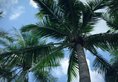 Atlantis Sanya в Хайнань Китай ✅. Забронировать номер онлайн по выгодной цене в Atlantis Sanya. Трансфер из аэропорта.