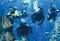 Atlantis Sanya в Хайнань Китай ✅. Забронировать номер онлайн по выгодной цене в Atlantis Sanya. Трансфер из аэропорта.