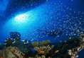 Atmosphere Kanifushi Maldives в Атолл Лавияни Мальдивы ✅. Забронировать номер онлайн по выгодной цене в Atmosphere Kanifushi Maldives. Трансфер из аэропорта.