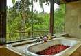 Ayung Resort в регион Убуд Индонезия ✅. Забронировать номер онлайн по выгодной цене в Ayung Resort. Трансфер из аэропорта.