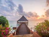 Azao Resort & SPA в Занзибар Танзания ✅. Забронировать номер онлайн по выгодной цене в Azao Resort & SPA. Трансфер из аэропорта.