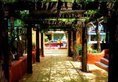 Baan Samui Resort в Самуи Таиланд ✅. Забронировать номер онлайн по выгодной цене в Baan Samui Resort. Трансфер из аэропорта.