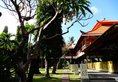 Bali Bungalo в регион Кута Индонезия ✅. Забронировать номер онлайн по выгодной цене в Bali Bungalo. Трансфер из аэропорта.