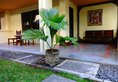 Bali Bungalo в регион Кута Индонезия ✅. Забронировать номер онлайн по выгодной цене в Bali Bungalo. Трансфер из аэропорта.