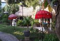 Bali Mystique Hotel & Apartment в Семиньяк Индонезия ✅. Забронировать номер онлайн по выгодной цене в Bali Mystique Hotel & Apartment. Трансфер из аэропорта.