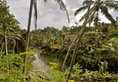 Bali Spirit Hotel & Spa в регион Убуд Индонезия ✅. Забронировать номер онлайн по выгодной цене в Bali Spirit Hotel & Spa. Трансфер из аэропорта.