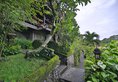 Bali Spirit Hotel & Spa в регион Убуд Индонезия ✅. Забронировать номер онлайн по выгодной цене в Bali Spirit Hotel & Spa. Трансфер из аэропорта.