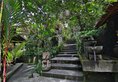 Bali Spirit Hotel & Spa в регион Убуд Индонезия ✅. Забронировать номер онлайн по выгодной цене в Bali Spirit Hotel & Spa. Трансфер из аэропорта.