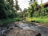 Bali Spirit Hotel & Spa в регион Убуд Индонезия ✅. Забронировать номер онлайн по выгодной цене в Bali Spirit Hotel & Spa. Трансфер из аэропорта.