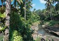 Bali Spirit Hotel & Spa в регион Убуд Индонезия ✅. Забронировать номер онлайн по выгодной цене в Bali Spirit Hotel & Spa. Трансфер из аэропорта.