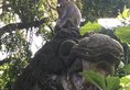 Bali Spirit Hotel & Spa в регион Убуд Индонезия ✅. Забронировать номер онлайн по выгодной цене в Bali Spirit Hotel & Spa. Трансфер из аэропорта.