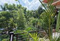 Bali Spirit Hotel & Spa в регион Убуд Индонезия ✅. Забронировать номер онлайн по выгодной цене в Bali Spirit Hotel & Spa. Трансфер из аэропорта.
