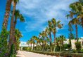 Sentido Bellevue Park в Сусс Тунис ✅. Забронировать номер онлайн по выгодной цене в Sentido Bellevue Park. Трансфер из аэропорта.